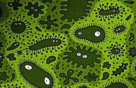 12星座最喜欢的地方 病菌最喜欢聚集在这些地方