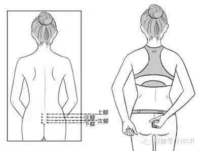 八髎 肾腧、八髎、视频+文稿带脉治腰腿脚寒、肾阳虚(遗精早泄、尿频、宫寒不育、...
