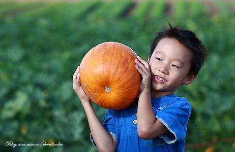 吃南瓜的好处 初秋跑步的好处 初秋吃南瓜，好处竟有这么多！