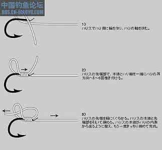 鱼钩的绑法图解 鱼钩的绑法 12