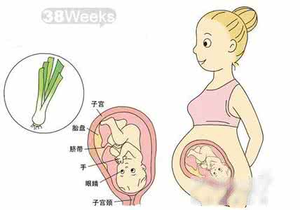 怀孕饮食注意事项 怀孕38周饮食注意事项