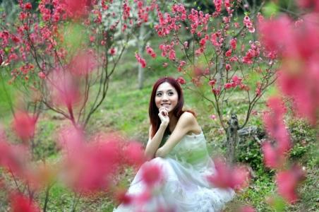 聆听花开的声音美文 静听风吟，聆听春暖花开【情感美文】