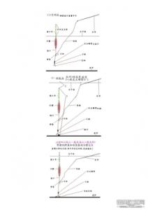 反向找底 精确找底与反向验证的重要性