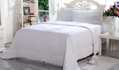 水星家纺蚕丝被价格 水星家纺蚕丝被价格 水星家纺蚕丝被价格简介