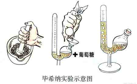 毕希纳经典语录 毕希纳