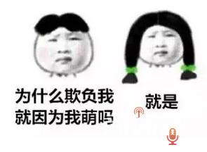 女生说你怂什么意思 怂是什么意思
