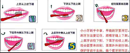 正确的刷牙方法步骤 如何正确的刷牙