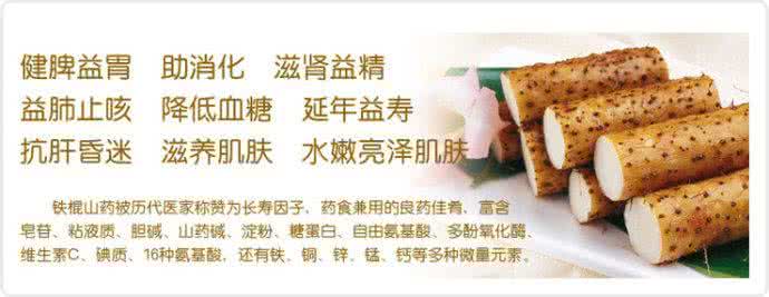 铁棍山药的功效与作用 铁棍山药5大功效