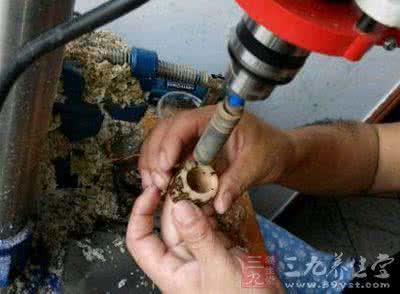 天谕适合懒人玩的职业 懒人玩这些竟能玩成富豪