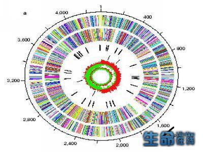 糖尿病最新研究进展 快讯 | 糖尿病全球最新研究进展8条（2017第3期）