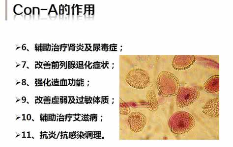 湿毒不能吃什么 它们是湿毒的“克星”，每天吃一点，35天排净湿气，肚腩也平了