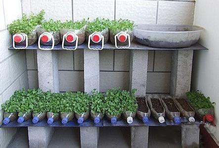 家庭阳台菜园装置 教您做制作阳台种植自动浇水的装置