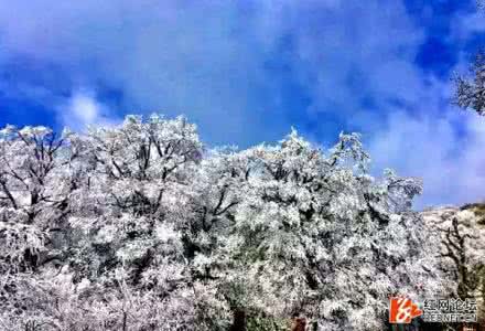 双牌阳明山 双牌阳明山 湖南永州双牌阳明山现雾凇景观 冰雪美景如仙境