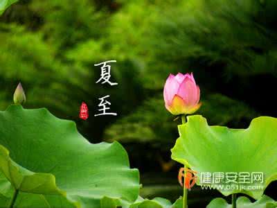 晴雯死的时候在喊谁 夏至丨死的时候最好赶在夏天