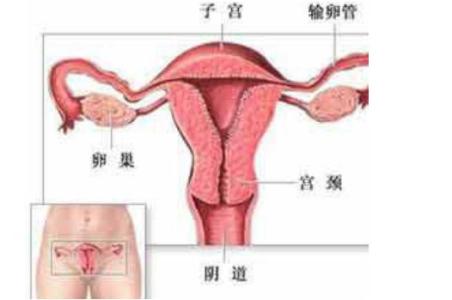 怀孕并发症 怀孕并发症 怀孕的烦恼与并发症