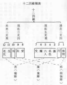 十二因缘六道轮回图 十二因缘与截断轮回之因