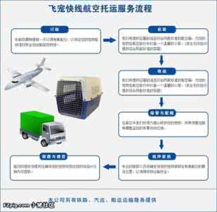 国内宠物托运流程 宠物托运流程 国内宠物托运流程