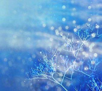赋一曲琅邪无关风月 静待一场飘雪,无关风月