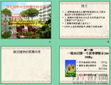 水循环知识点 第三单元 绿色植物与生物圈的水循环知识点津