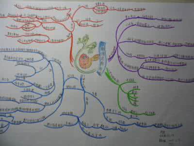 思维导图 考前建议（思维导图）
