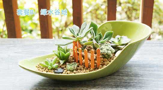 多肉植物养殖注意事项 【多肉植物馆】十月份多肉养殖注意事项