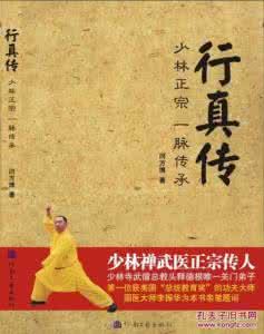 少林寺传奇藏经阁 【少林正宗】少林寺传奇藏经阁全集剧情介绍看扫地僧如何报国恨家仇_少林正宗