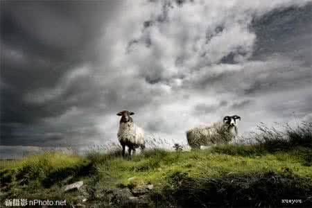 提高宜居水平的建议 5个建议帮助你提高摄影水平