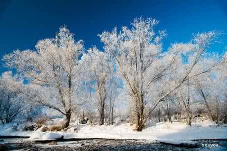 雪景 告诉你如何展现雪景的纯白无瑕