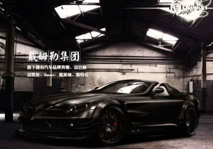 全球存储品牌大盘点 盘点:全球汽车品牌你知道多少?98P