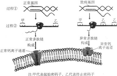 结构自振周期如何确定 结构自振周期如何确定 怀孕周期如何确定