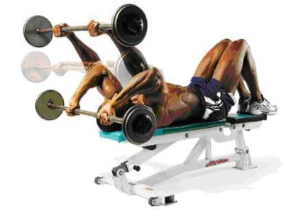 仰卧肱三头肌臂屈伸 肱三头肌（03）：杠铃仰卧臂屈伸