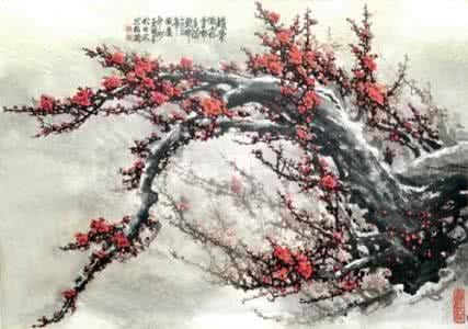 梅香苦寒来 磨砺剑锋苦寒梅香——岗位大练兵的心得体会