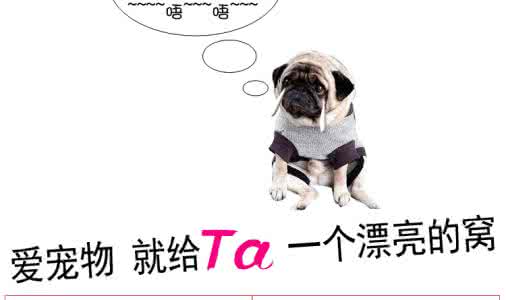 异界宠物店 必火!快来看看那些宠物界的淘宝爆款