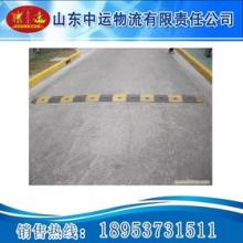 端午节期间的火车站 减数分裂Ⅱ 间期