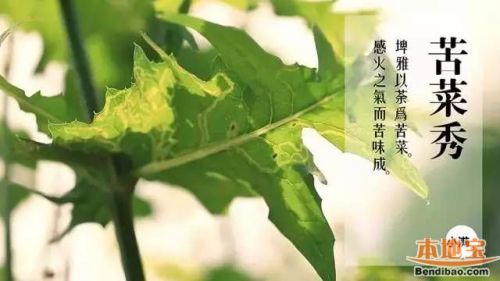 小满节气吃什么好 小满吃什么好