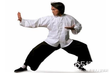 体验真功夫陈氏太极拳 体验真功夫陈氏太极拳 五十年代几位名家的太极拳,真功夫!