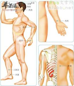 练瑜伽半年后身材变化 瑜伽十八式--漂亮身材是这样练成的
