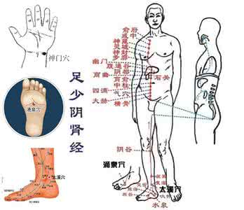 详解中医里的七个性保健穴位