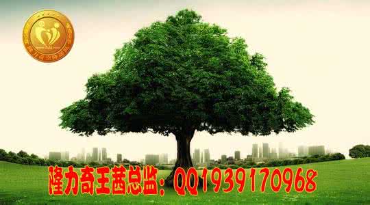 大树理论 大树理论——大成就的五大条件