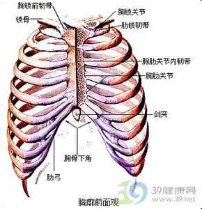 缺乏维生素a的表现 女性维生素d缺乏的表现 缺乏维生素D危害