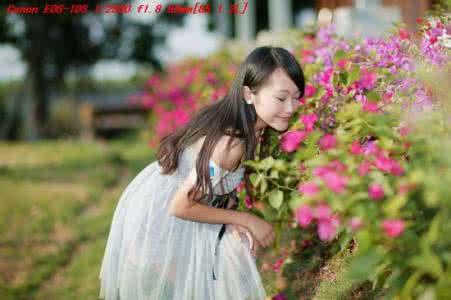 风光人像摄影培训视频 易问易答:人像和风光需要哪种镜头