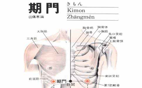 贫血吃什么保健品 图解:穴位保健小技巧 〉缓解贫血症状 按摩期门穴