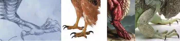 火龙果有趣的广告词 从头到尾解读Dragon与龙 | 趣词