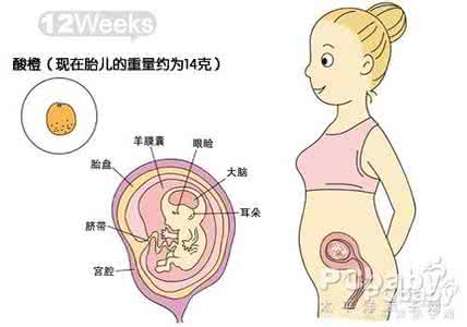 受孕多久能测出怀孕 受孕多久能测出怀孕 受孕后用什么方法能测怀孕