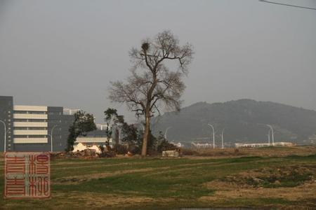 苏州太湖香山实验小学 太湖之滨之香山