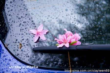 幸福内心禅 幸福的感觉  每日禅话 715