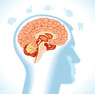 了解你的大脑，才能更好地学习