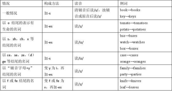初中英语语法名词篇(附习题和答案)