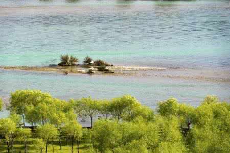 土曼河 ［诗歌］我在春天等你 ‖ 土曼河