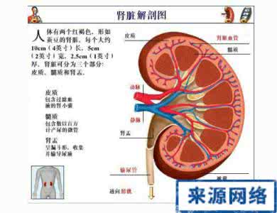 肾小球肾炎治疗方法 什么是肾小球肾炎 肾小球肾炎该怎么治疗